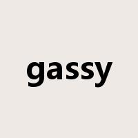 gassy是什么意思