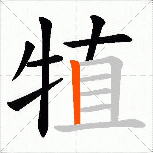 犆