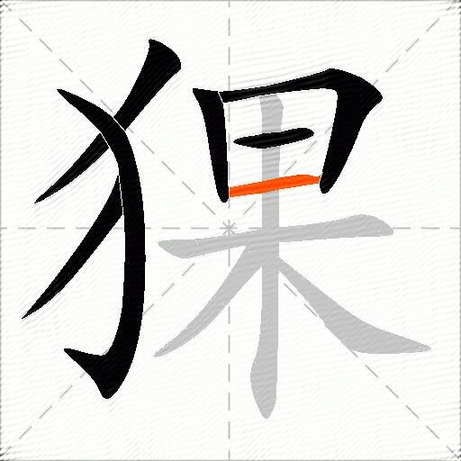 猓