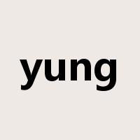 yung是什么意思