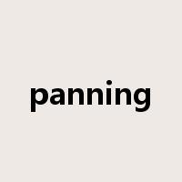 panning是什么意思