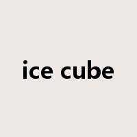 ice cube是什么意思