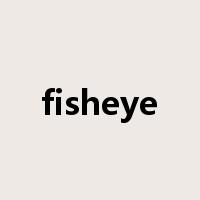 fisheye是什么意思