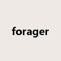forager是什么意思