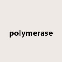 polymerase是什么意思