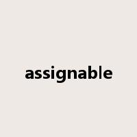 assignable是什么意思