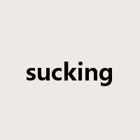 sucking是什么意思