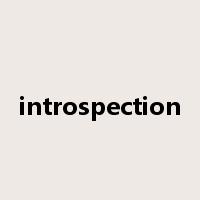introspection是什么意思