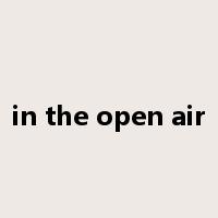 in the open air是什么意思