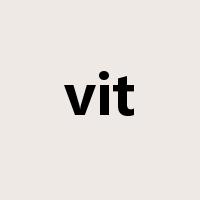 vit是什么意思