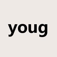 youg是什么意思