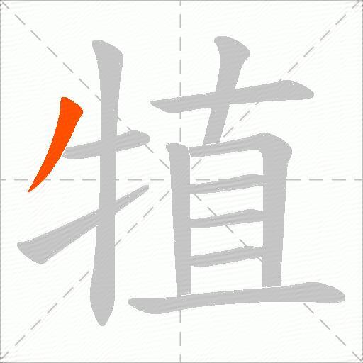 犆