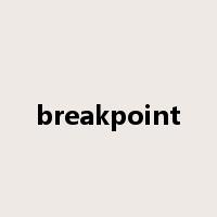 breakpoint是什么意思