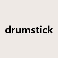 drumstick是什么意思