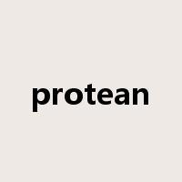 protean是什么意思