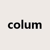 colum是什么意思