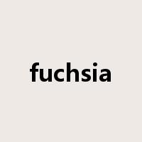 fuchsia是什么意思