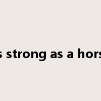 as strong as a horse是什么意思