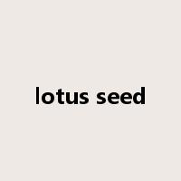 lotus seed是什么意思