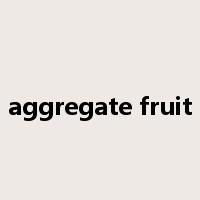 aggregate fruit是什么意思