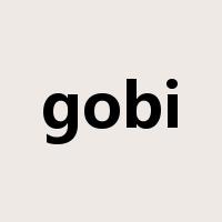 gobi是什么意思