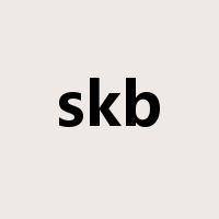 skb是什么意思