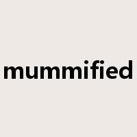 mummified是什么意思