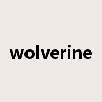 wolverine是什么意思