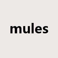 mules是什么意思