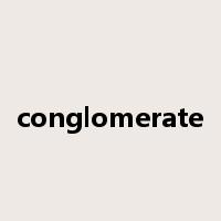 conglomerate是什么意思