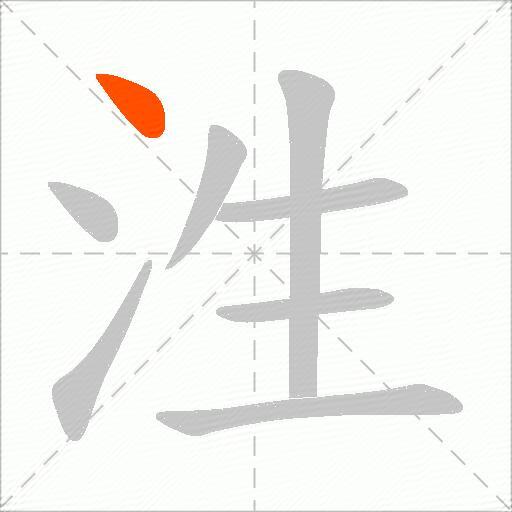 泩