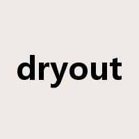 dryout是什么意思