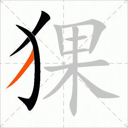 猓