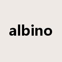 albino是什么意思