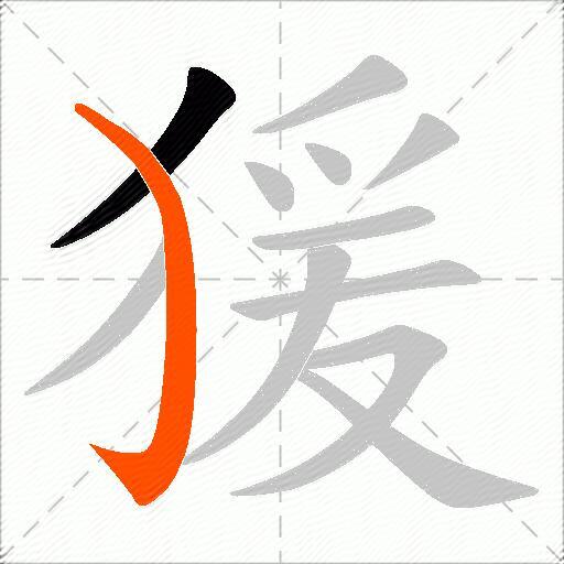 猨