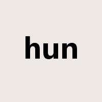 hun是什么意思