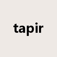 tapir是什么意思