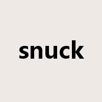 snuck是什么意思