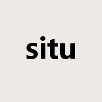situ是什么意思