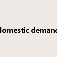 domestic demand是什么意思