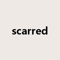scarred是什么意思