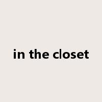in the closet是什么意思