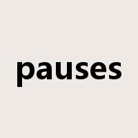 pauses是什么意思
