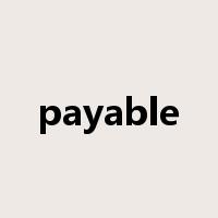 payable是什么意思