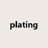 plating是什么意思
