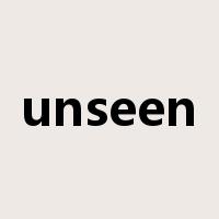 unseen是什么意思