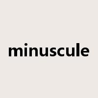 minuscule是什么意思