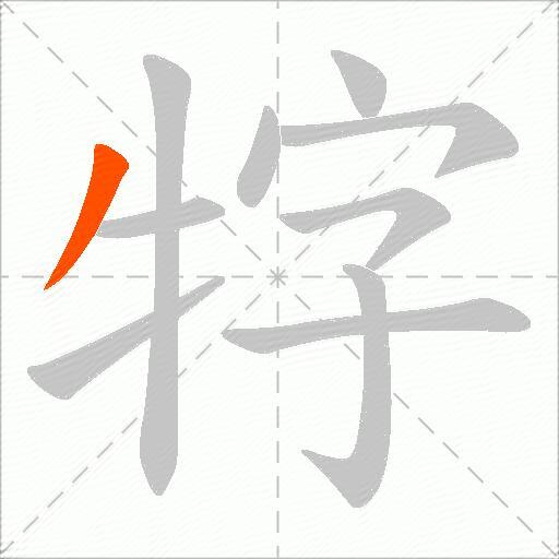 牸