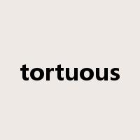 tortuous是什么意思
