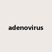 adenovirus是什么意思